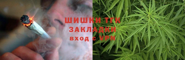 ГАЛЛЮЦИНОГЕННЫЕ ГРИБЫ Вяземский