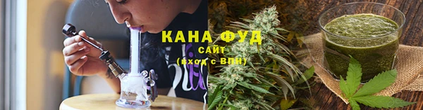 ГАЛЛЮЦИНОГЕННЫЕ ГРИБЫ Вяземский