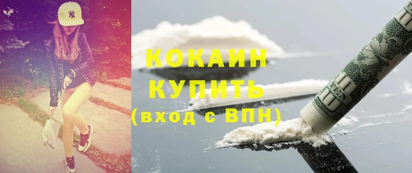 ГАЛЛЮЦИНОГЕННЫЕ ГРИБЫ Вяземский
