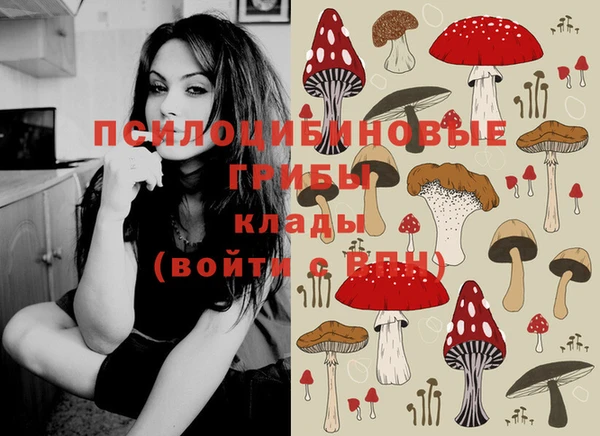 ГАЛЛЮЦИНОГЕННЫЕ ГРИБЫ Вяземский
