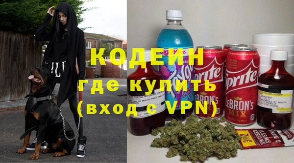 ГАЛЛЮЦИНОГЕННЫЕ ГРИБЫ Вяземский