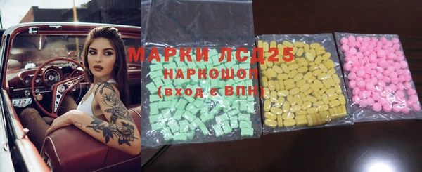 ГАЛЛЮЦИНОГЕННЫЕ ГРИБЫ Вяземский