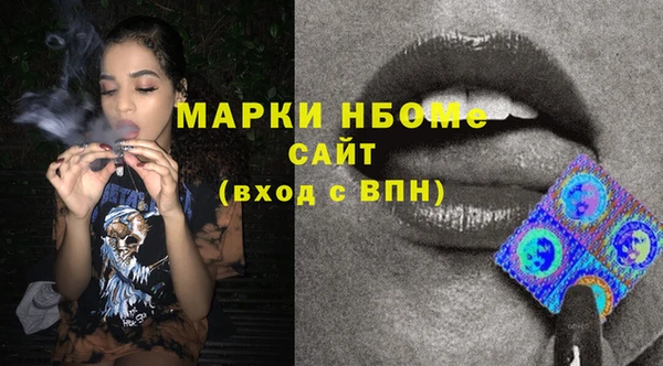 ГАЛЛЮЦИНОГЕННЫЕ ГРИБЫ Вяземский