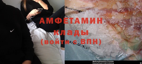 ГАЛЛЮЦИНОГЕННЫЕ ГРИБЫ Вяземский
